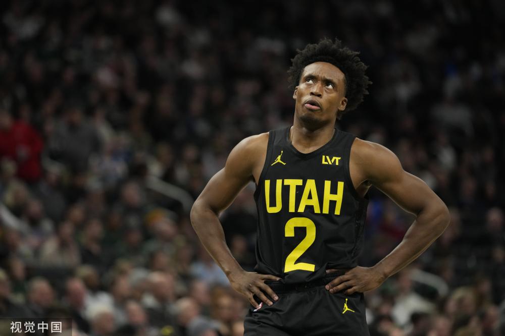 队员的归属 队员的归属